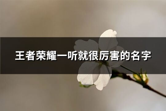 王者荣耀一听就很厉害的名字(399个)