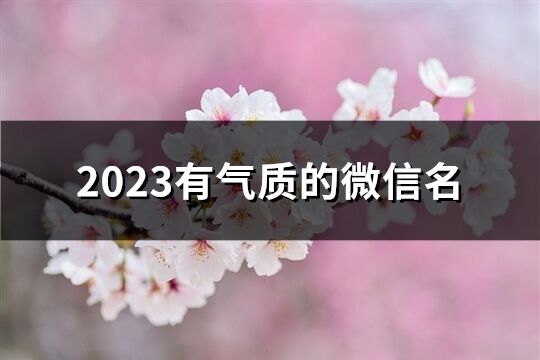 2023有气质的微信名(903个)