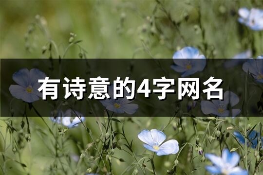 有诗意的4字网名(共394个)