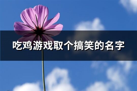 吃鸡游戏取个搞笑的名字(共360个)