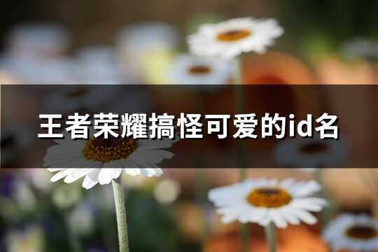 王者荣耀搞怪可爱的id名(共82个)