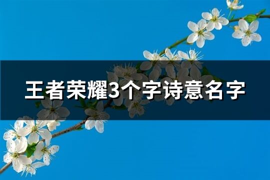 王者荣耀3个字诗意名字(共1131个)