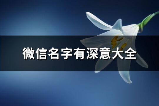 微信名字有深意大全(400个)