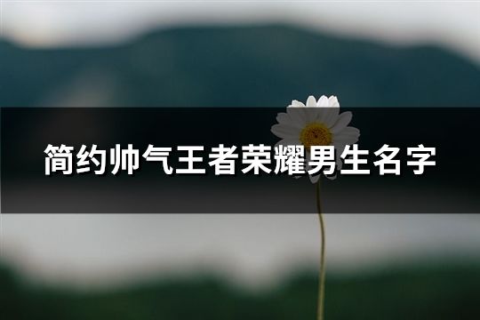 简约帅气王者荣耀男生名字(精选613个)