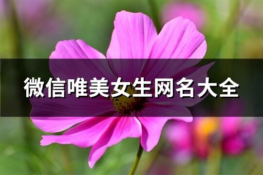 微信唯美女生网名大全(共635个)