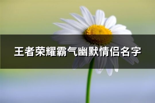 王者荣耀霸气幽默情侣名字(共90个)