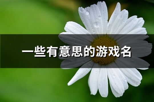 一些有意思的游戏名(共339个)