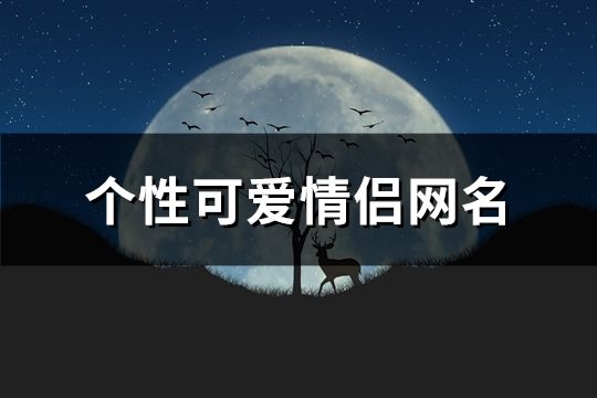 个性可爱情侣网名(共118个)