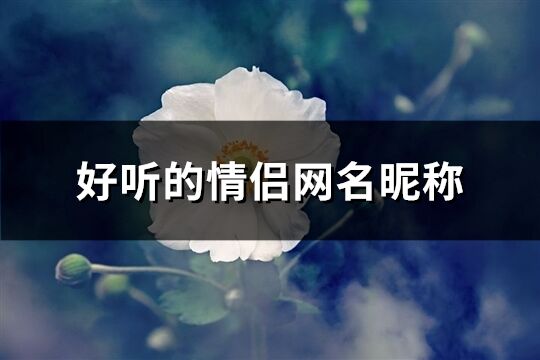 好听的情侣网名昵称(298个)