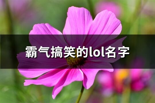 霸气搞笑的lol名字(223个)