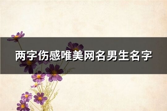 两字伤感唯美网名男生名字(140个)