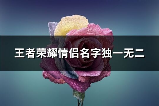 王者荣耀情侣名字独一无二(共217个)