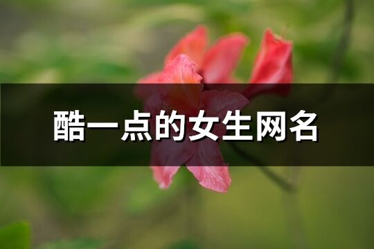 酷一点的女生网名(118个)