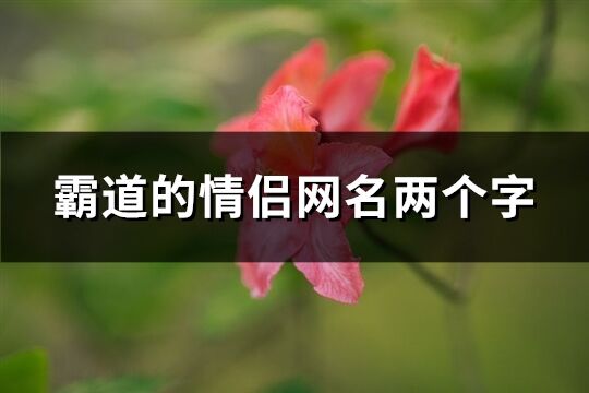 霸道的情侣网名两个字(共155个)