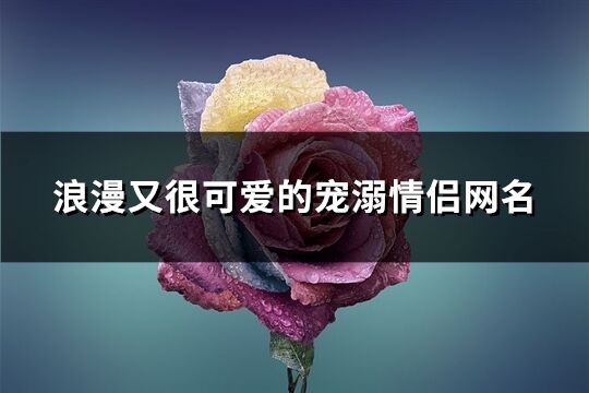 浪漫又很可爱的宠溺情侣网名(共283个)