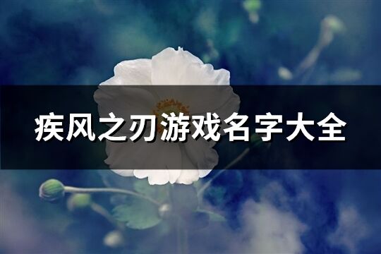 疾风之刃游戏名字大全(共175个)