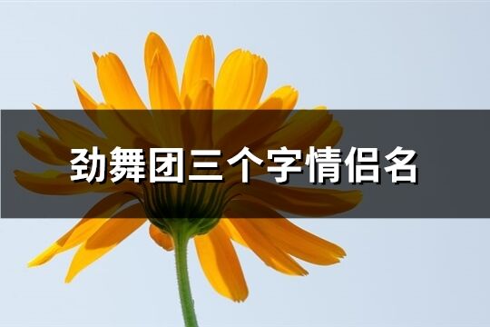 劲舞团三个字情侣名(精选47个)