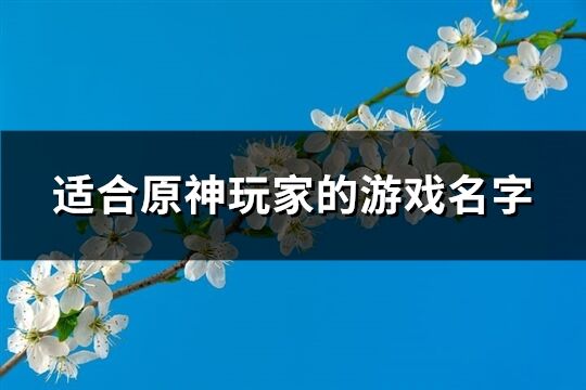 适合原神玩家的游戏名字(共470个)