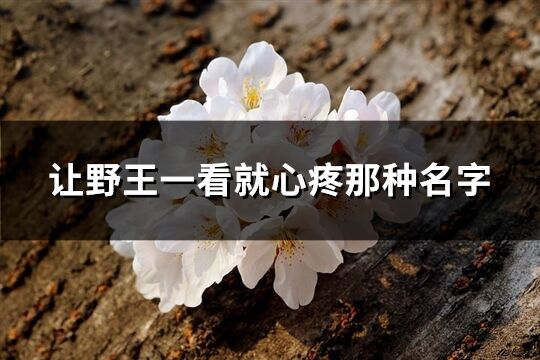 让野王一看就心疼那种名字(精选140个)