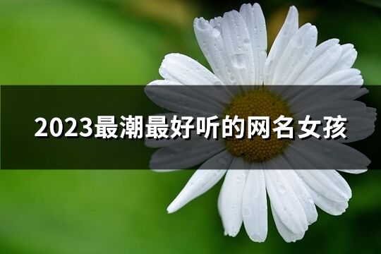 2023最潮最好听的网名女孩(1454个)