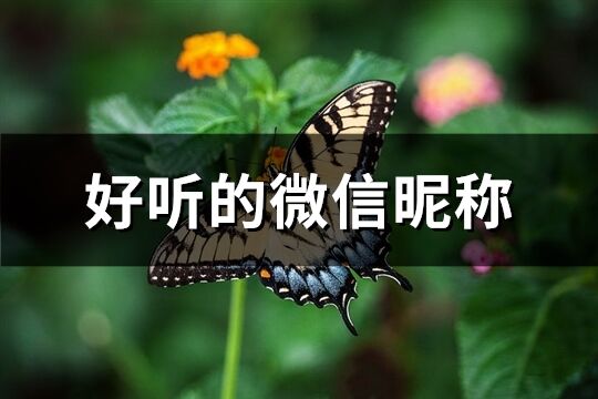 好听的微信昵称(784个)