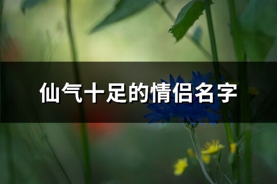 仙气十足的情侣名字(共217个)