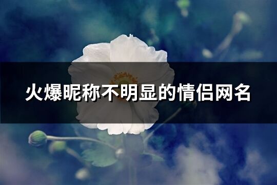 火爆昵称不明显的情侣网名(共82个)