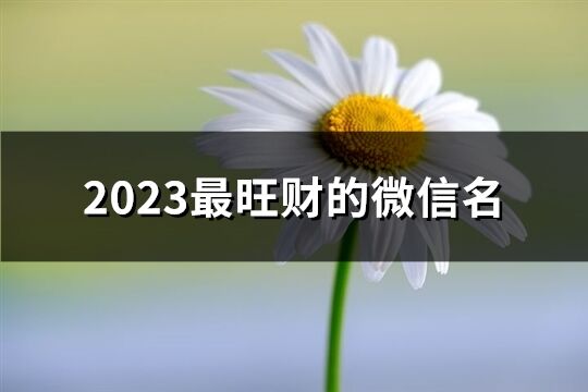 2023最旺财的微信名(共682个)