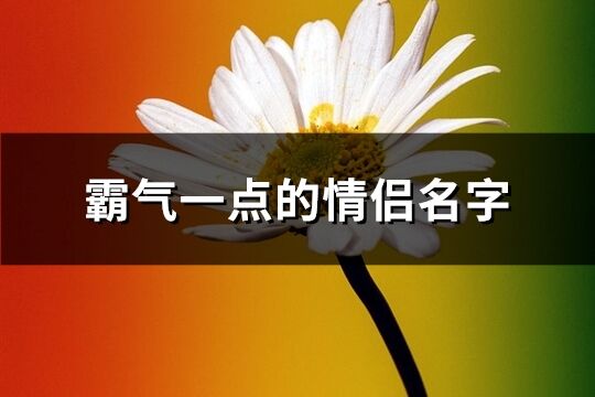 霸气一点的情侣名字(精选361个)