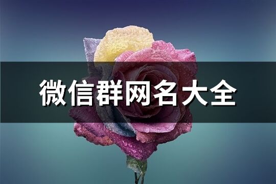 微信群网名大全(精选76个)