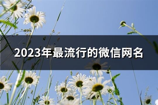 2023年最流行的微信网名(共1639个)