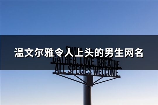 温文尔雅令人上头的男生网名(精选175个)