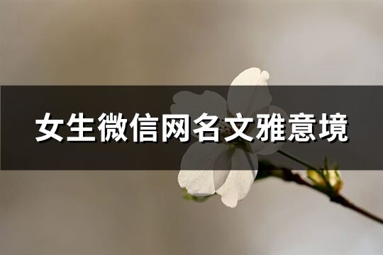 女生微信网名文雅意境(260个)