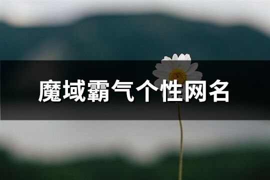 魔域霸气个性网名(精选227个)