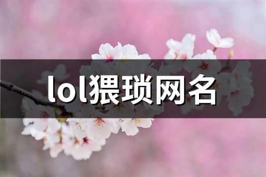 lol猥琐网名(精选60个)