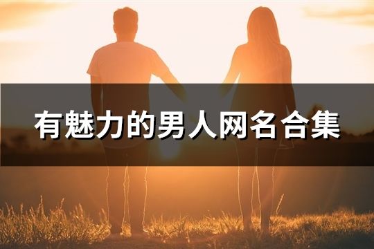 有魅力的男人网名合集(共90个)