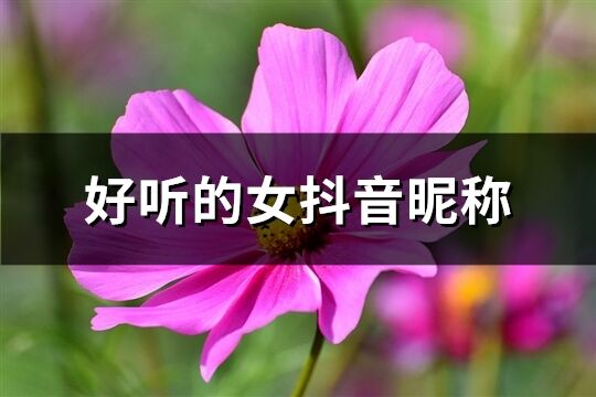 好听的女抖音昵称(共490个)