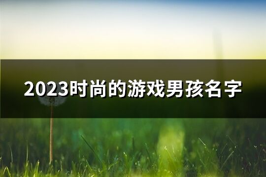 2023时尚的游戏男孩名字(共765个)