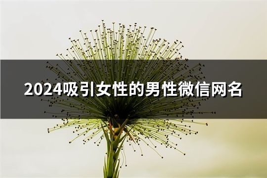 2024吸引女性的男性微信网名(264个)