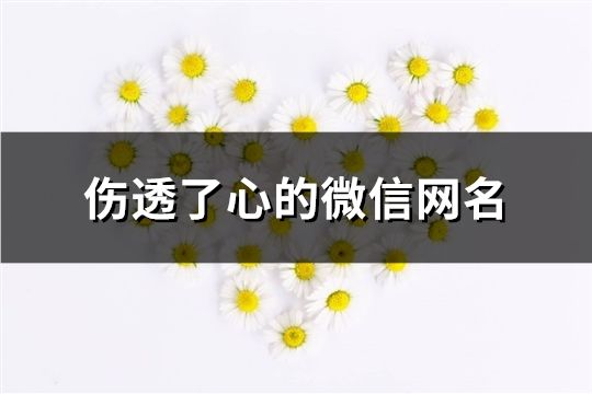 伤透了心的微信网名(共83个)