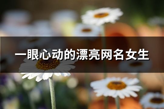 一眼心动的漂亮网名女生(72个)