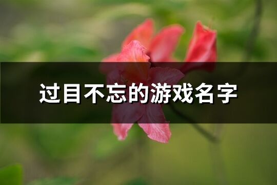 过目不忘的游戏名字(共568个)