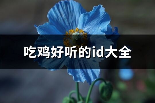 吃鸡好听的id大全(精选663个)