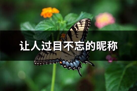 让人过目不忘的昵称(448个)