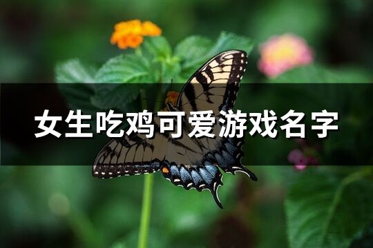 女生吃鸡可爱游戏名字(265个)