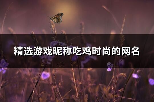 精选游戏昵称吃鸡时尚的网名(561个)