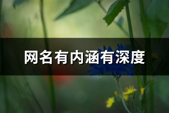 网名有内涵有深度(共1135个)