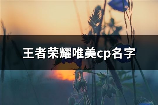 王者荣耀唯美cp名字(共440个)