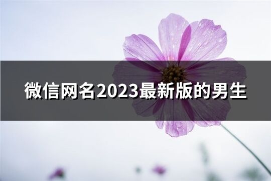 微信网名2023最新版的男生(共2655个)