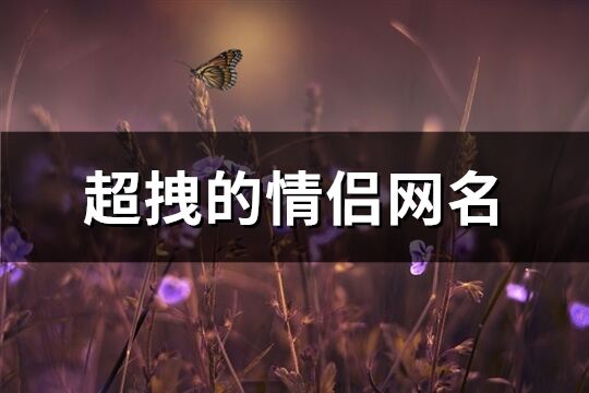 超拽的情侣网名(162个)